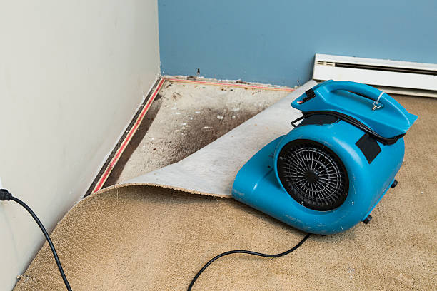 Reliable Tamalpais Homestead Valley, CA Water damage restoration Solutions